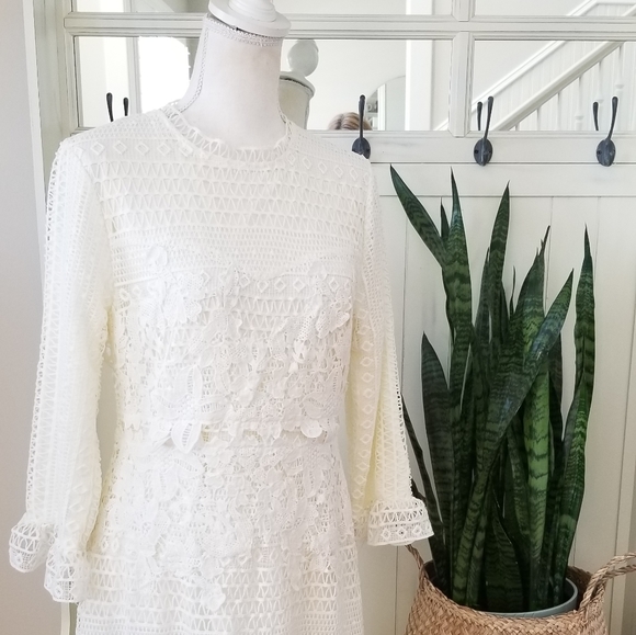 Stunning Off White Fitted Lace Midi Dress - Picture 4 of 12